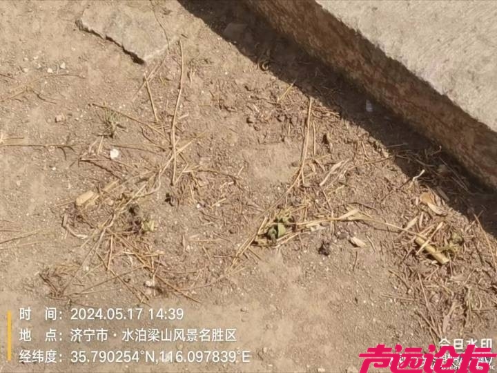 网友反映梁山县4A级景区卫生堪忧、消防安全监管不到位-4.jpg