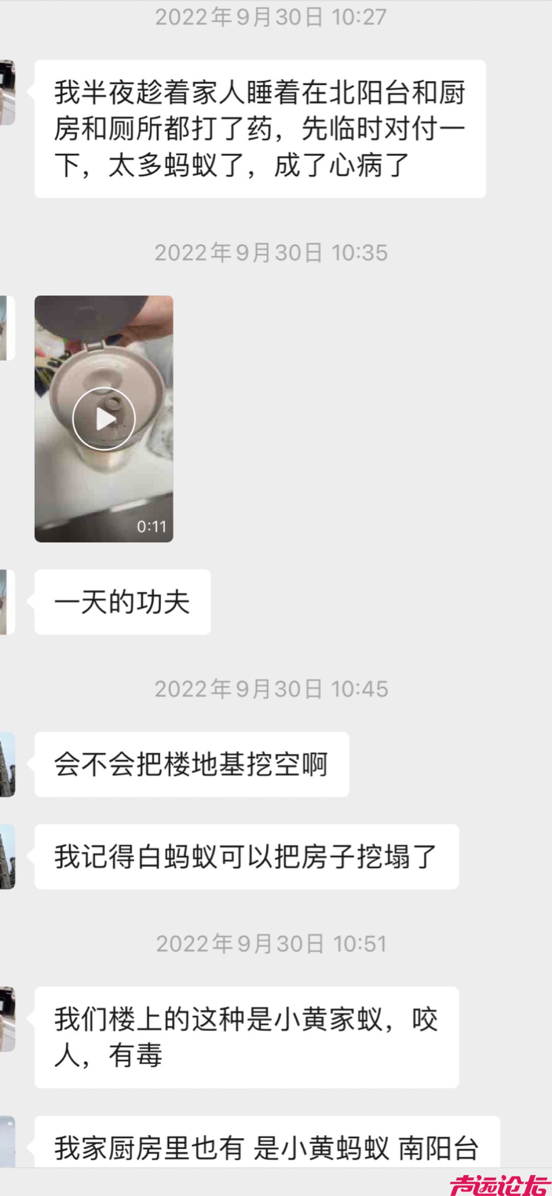 投诉左岸丽都物业不作为，楼房内蚁患成疾！-3.jpg