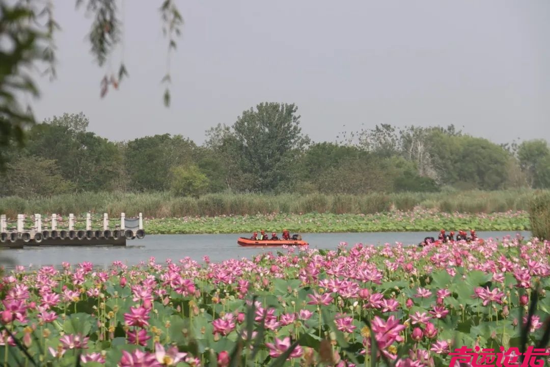 太白湖景区荷花盛开，盛夏的浪漫等你来邂逅！-8.jpeg