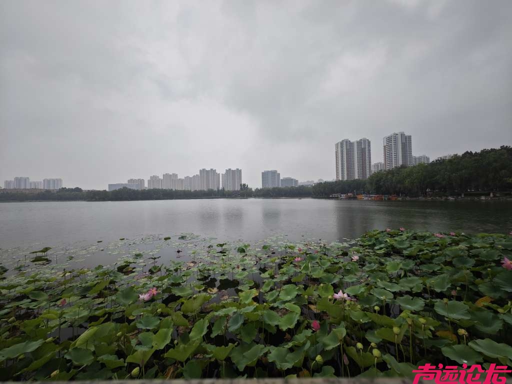 雨中漫步古南池-7.jpg