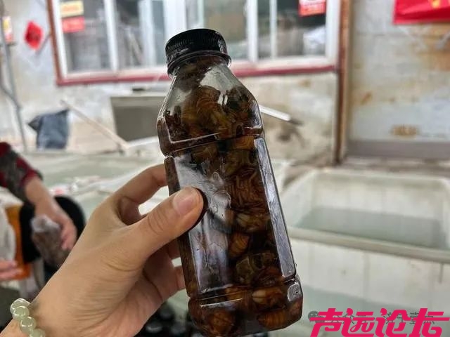 山东第一辆顺丰无人快递车落地济宁，助力金蝉畅销全国-1.jpg