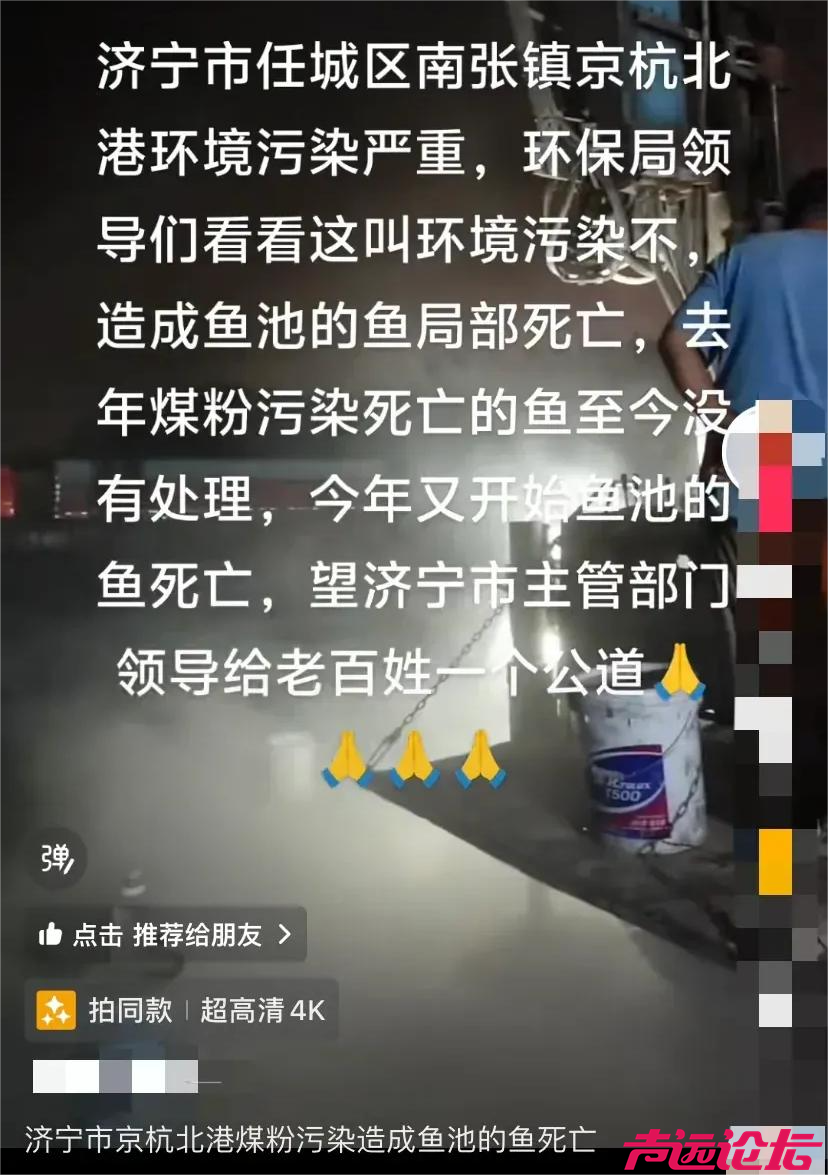 南张街道京杭北港粉煤灰污染造成鱼池的鱼大面积死亡，监管何在？-1.jpg