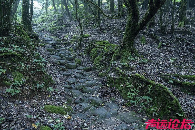 想你的风吹到了哀牢山？擅闯最高罚5000！-4.jpg