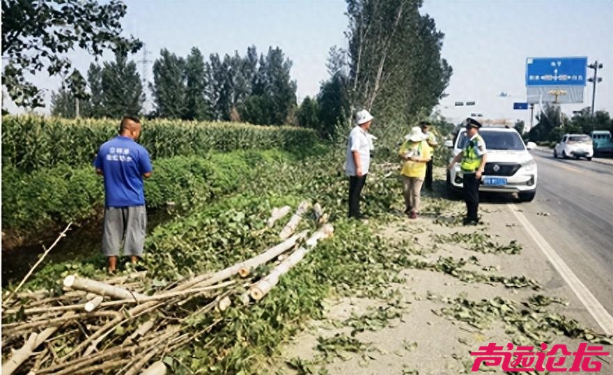 山东汶上一村民未经批准擅自更新采路林木被处罚-1.jpg