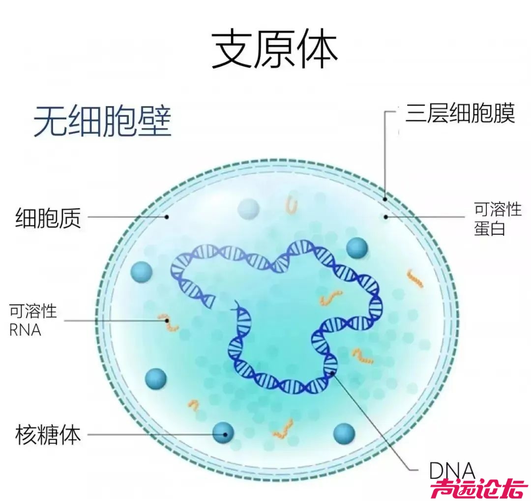 接诊量翻倍！医院爆满！医生紧急提醒-8.jpg