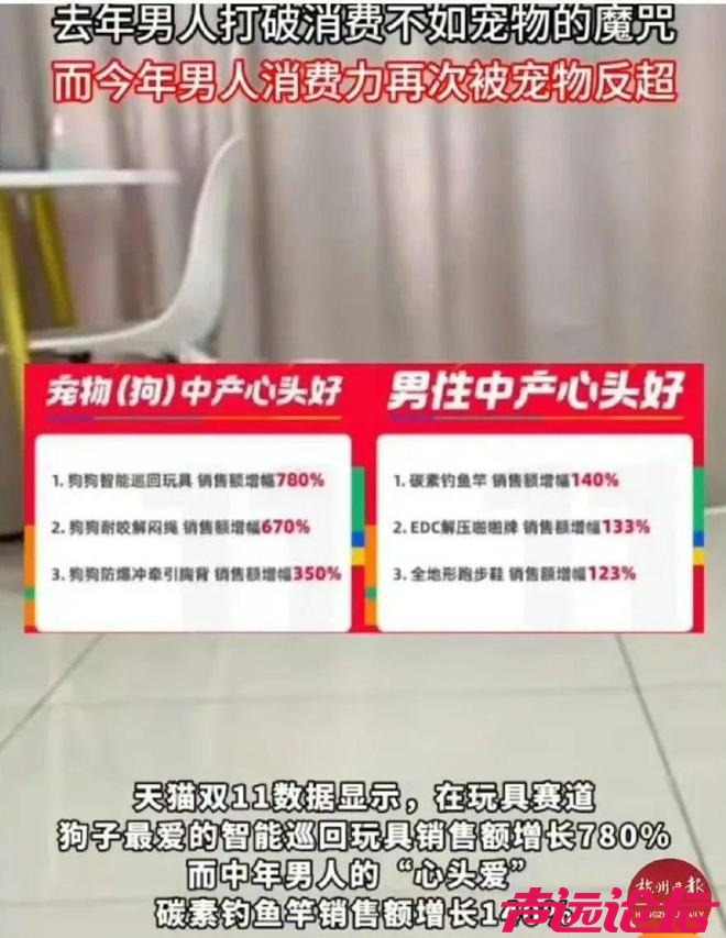 来自宠物狗的反击，天猫双11男性消费力增速不如狗？-7.jpg