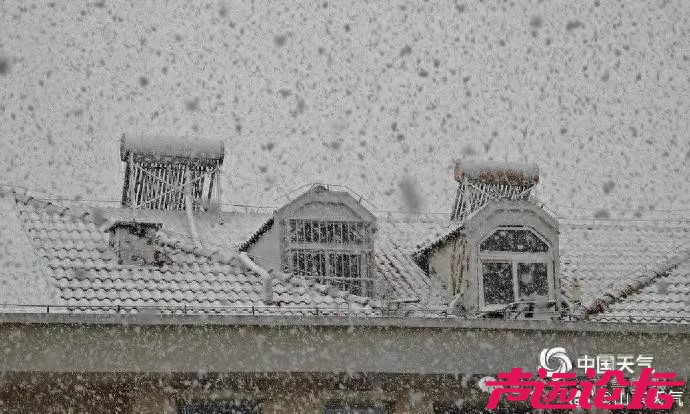 局部大雪！山东新一场冷空气已“发货”，多地雨雪天气+阵风8级-1.jpg