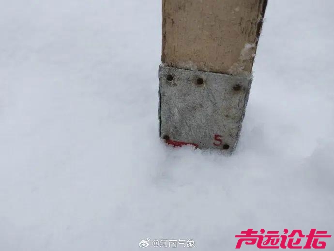 郑州出现大暴雪！河南局地积雪深度20厘米！-7.jpg