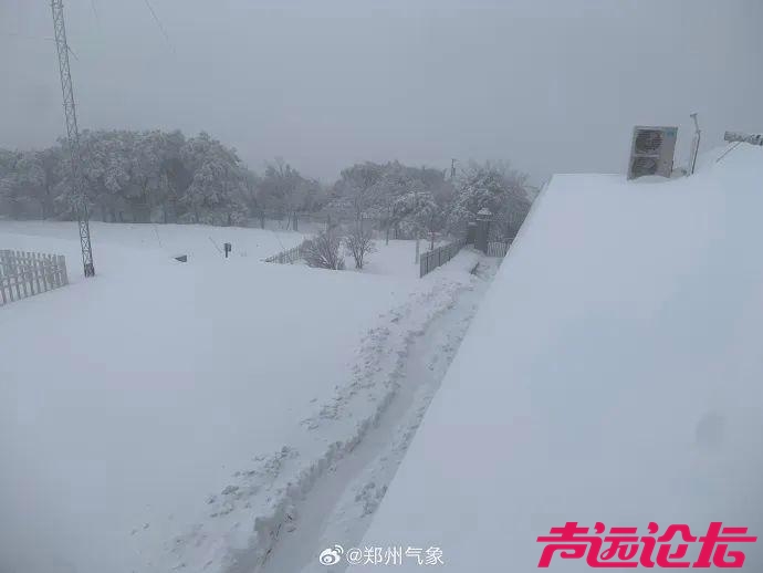 郑州出现大暴雪！河南局地积雪深度20厘米！-10.jpg