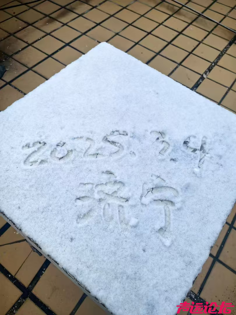 济宁的雪景来了！-3.jpg