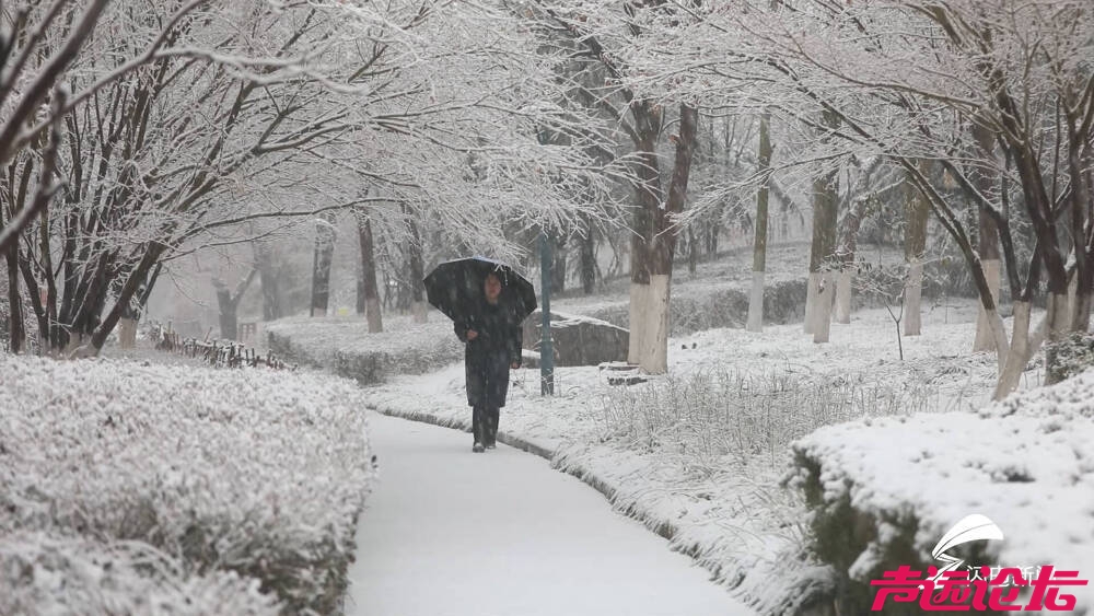 53县破历史极值！专家：山东本轮雨雪极端、罕见 刷新“气象史”纪录-2.jpg