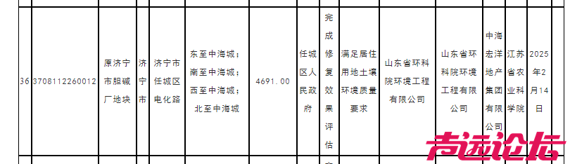 中海城一区胆厂地块后续规划-2.png