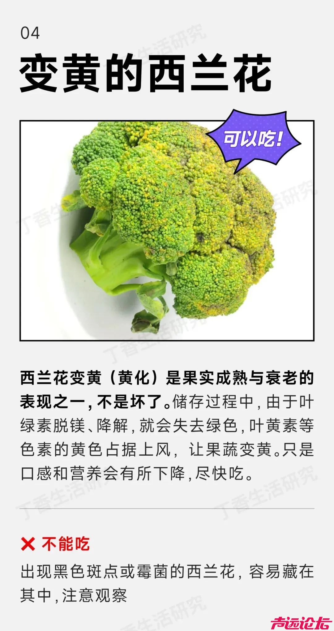 以为坏了，其实能放心吃的8种食物！扔掉就亏大了-4.jpeg