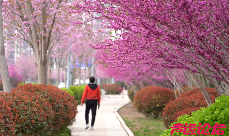 跟着马拉松游济宁，来生态太白湖感受生活美学-3.png