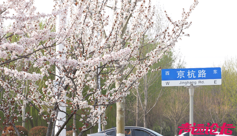 跟着马拉松游济宁，来生态太白湖感受生活美学-7.png