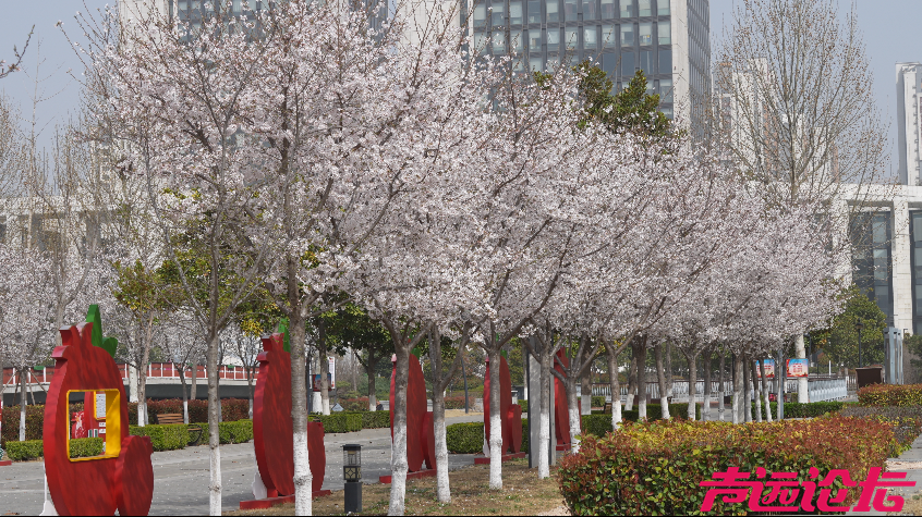 跟着马拉松游济宁，来生态太白湖感受生活美学-11.png