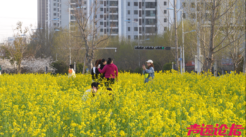 跟着马拉松游济宁，来生态太白湖感受生活美学-12.png