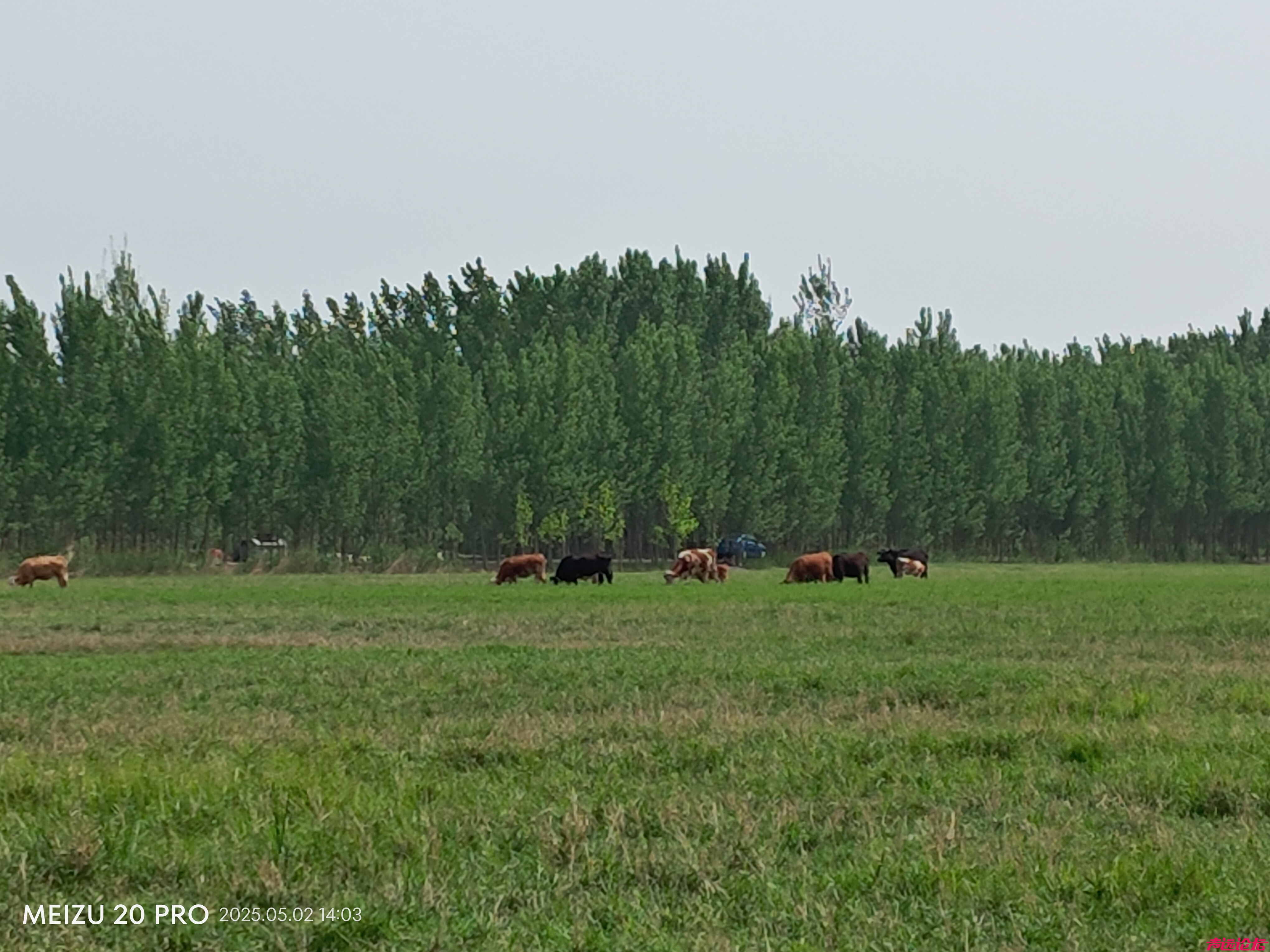 P20250502-140318.jpg