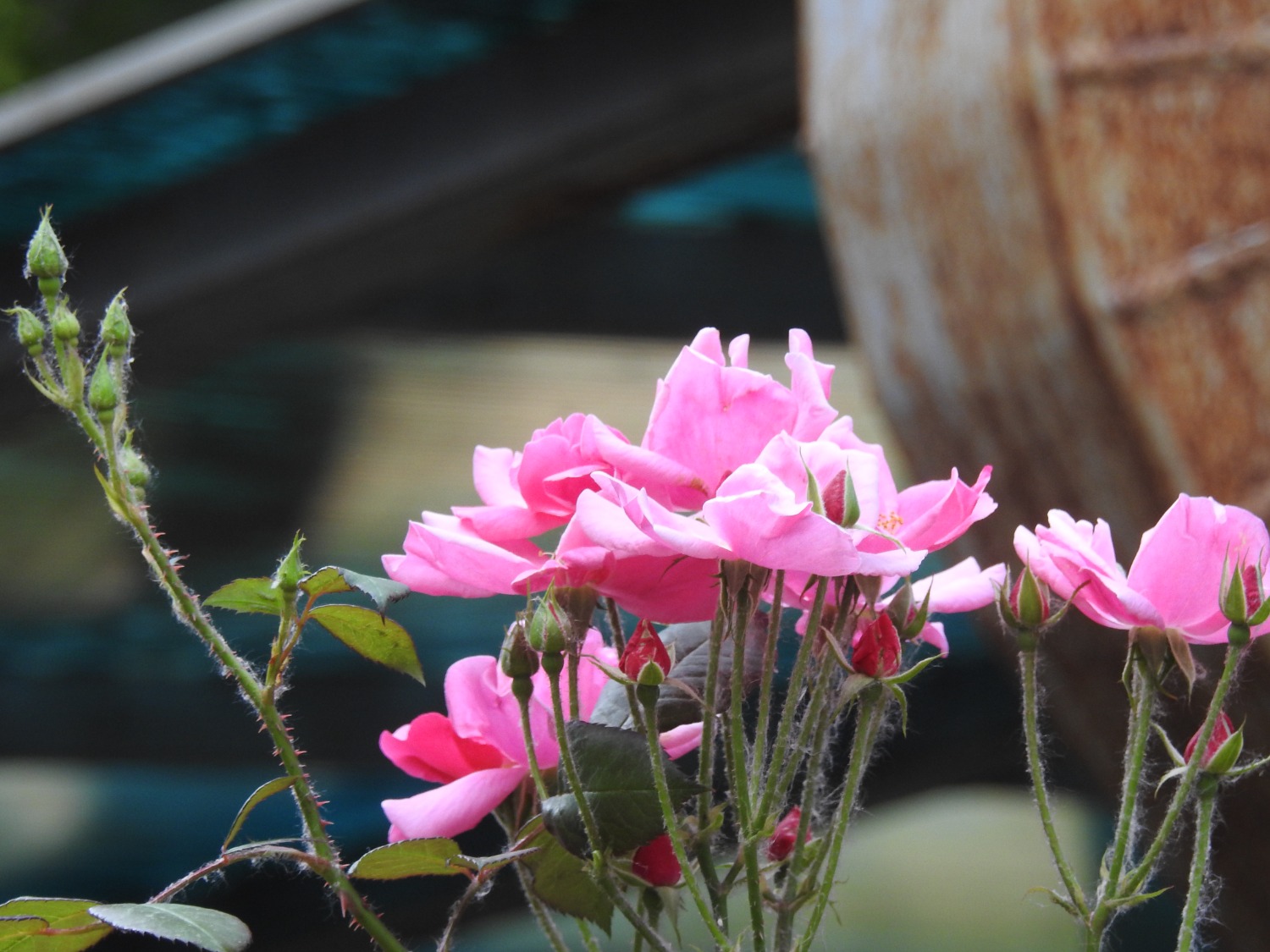 DSCN3767.JPG