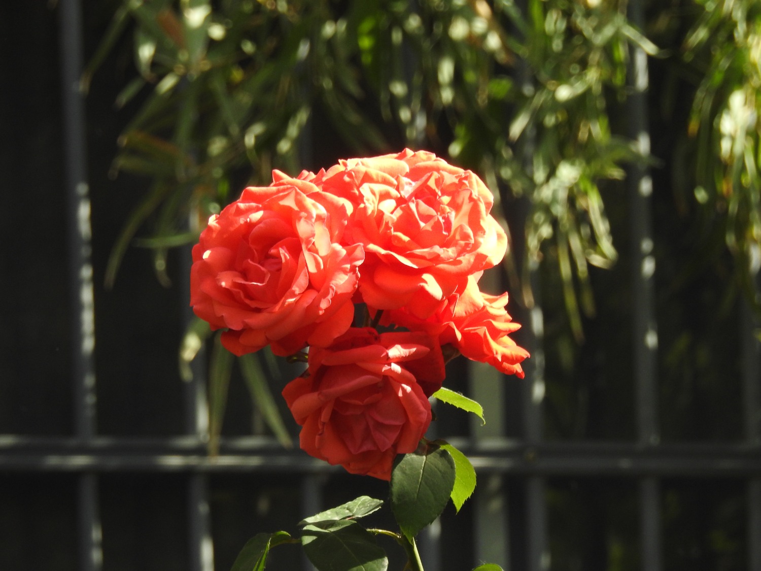 DSCN3579.JPG