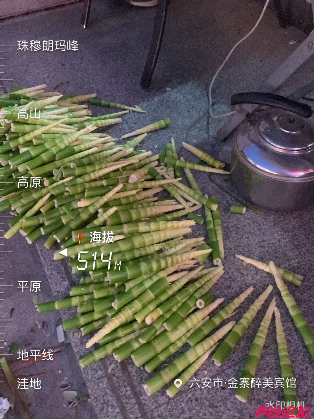 饭店的尖笋