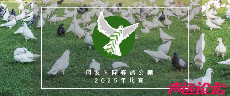 图怪兽_绿色自然简约鸽场名片.jpg