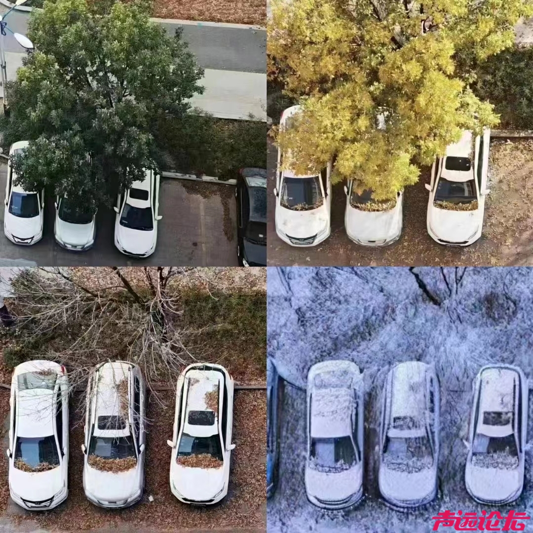 不感恩不忘记不原谅.jpg