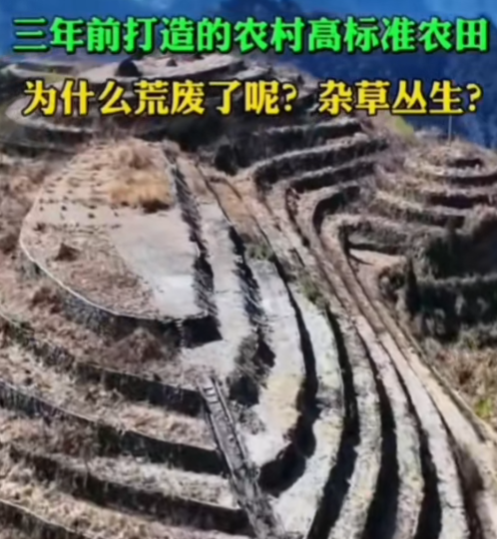 PixPin_2025-05-12_20-38-07.png