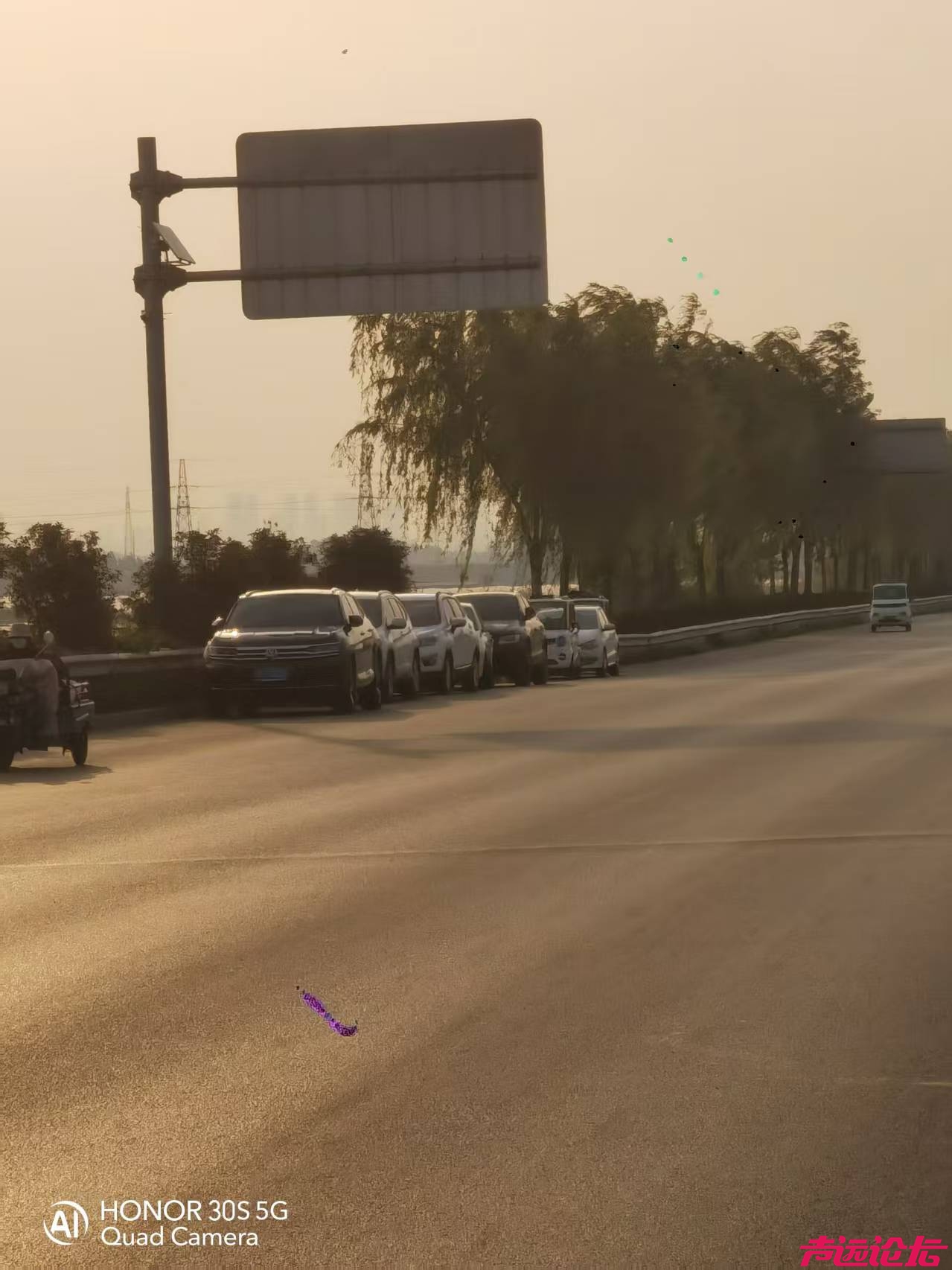 早5点半起私家车“霸占”孟子大道-3.jpg