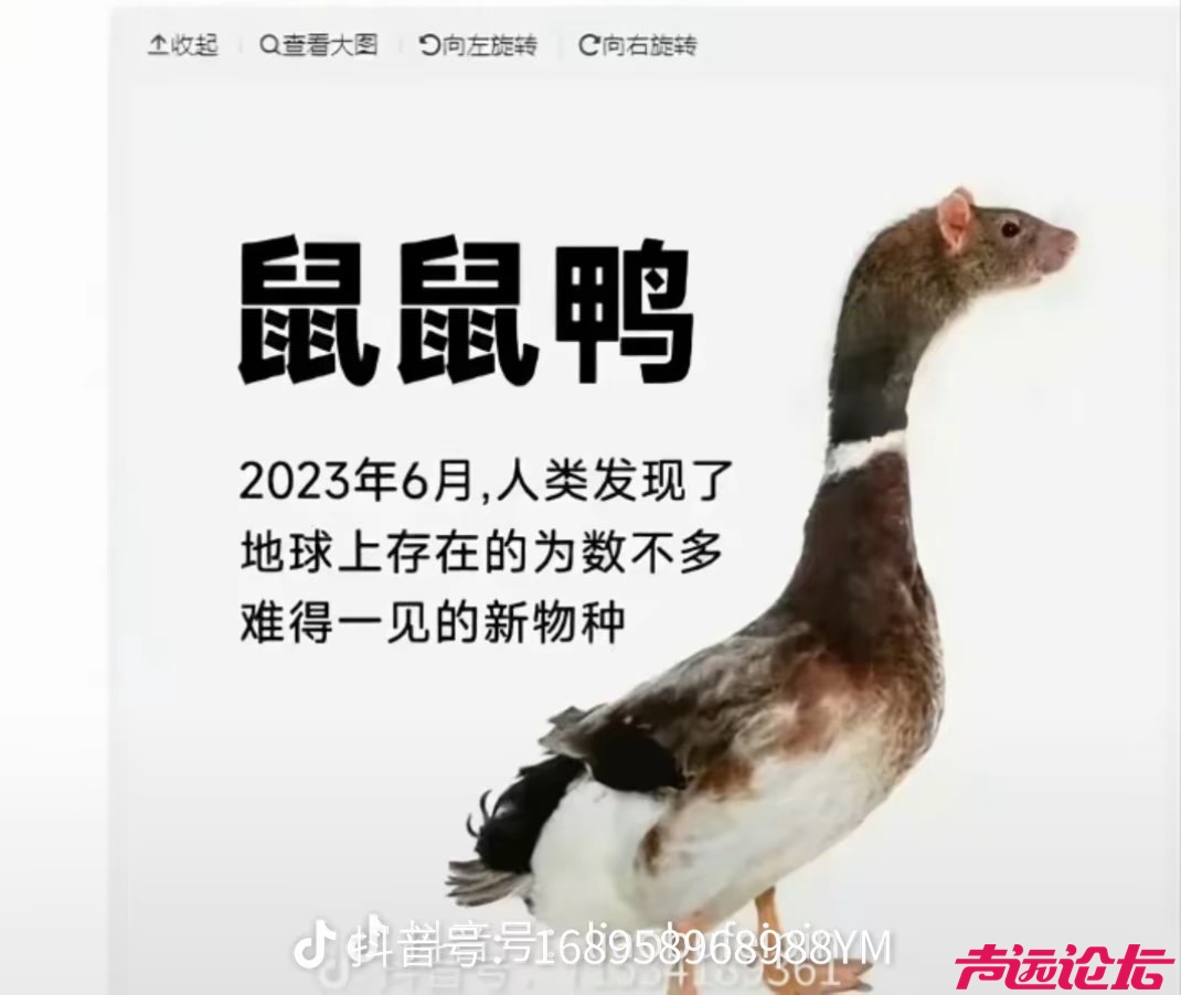 20250523180536front1_0_641311_FitaTI1q7LWqtUrimB-9PcHjrhis.jpg