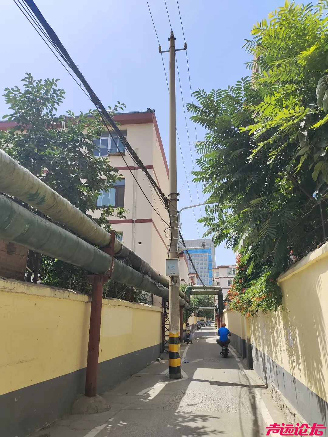 破解“蛛网难题” 行署西巷，变了！-2.jpg