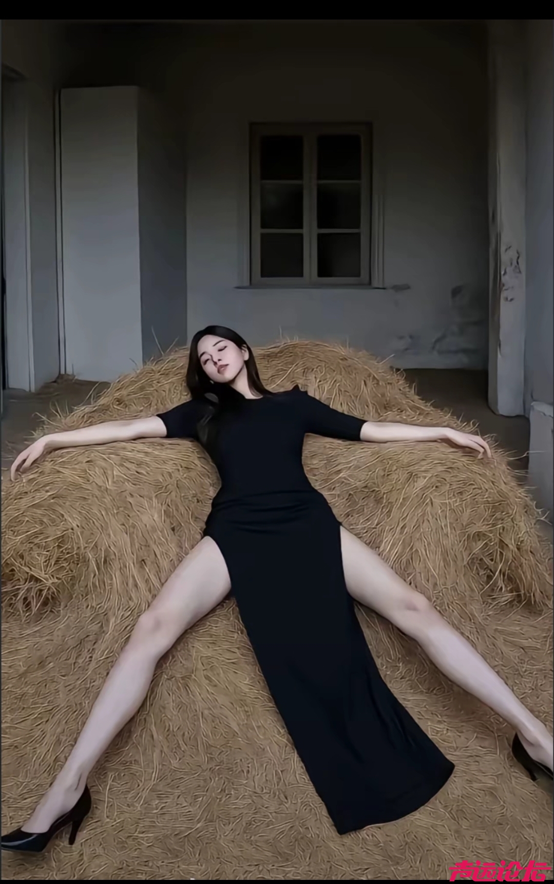 213.jpg