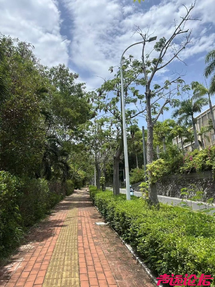 三亚死亡女子家属回应质疑：第二家医院使用了血清抢救，愿意尸检-3.jpg