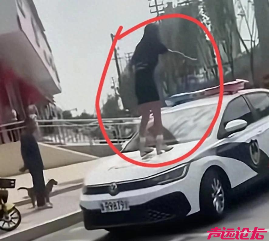 山东女网红违停被罚单后续:劣迹斑斑，哗众取宠，山东称“半熟”-1.jpg