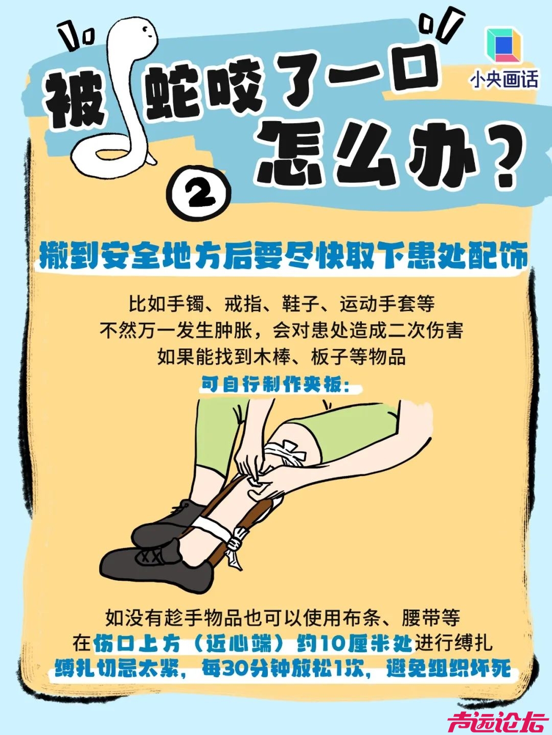 家属透露：女子被咬身亡相关医生已停职！上海30天已有14人被蛇咬，伤人毒蛇基本都是它-7.jpg