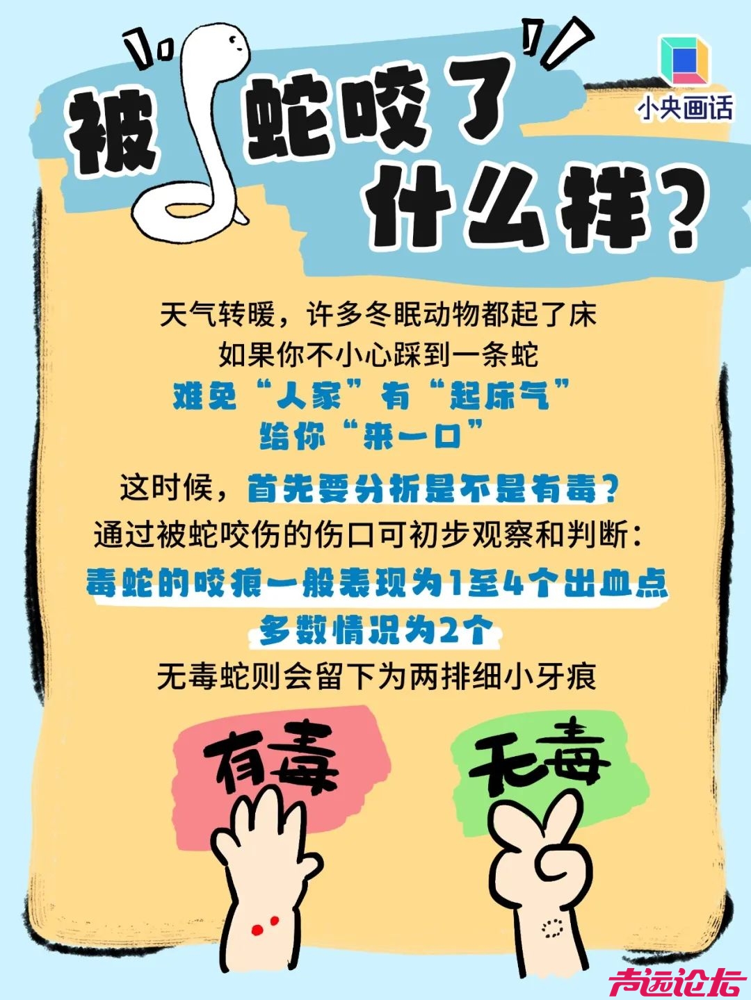 家属透露：女子被咬身亡相关医生已停职！上海30天已有14人被蛇咬，伤人毒蛇基本都是它-5.jpg