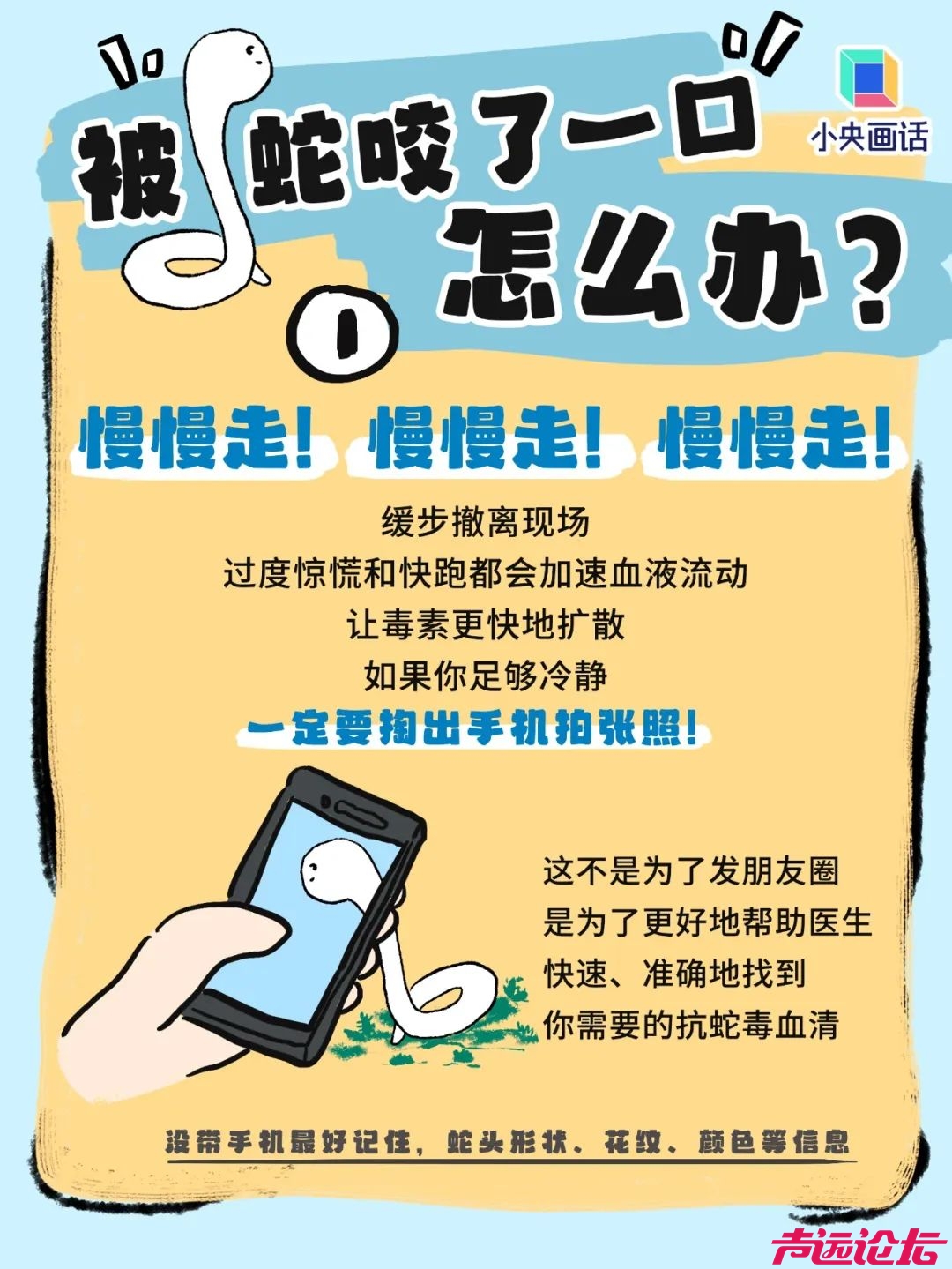 家属透露：女子被咬身亡相关医生已停职！上海30天已有14人被蛇咬，伤人毒蛇基本都是它-6.jpg