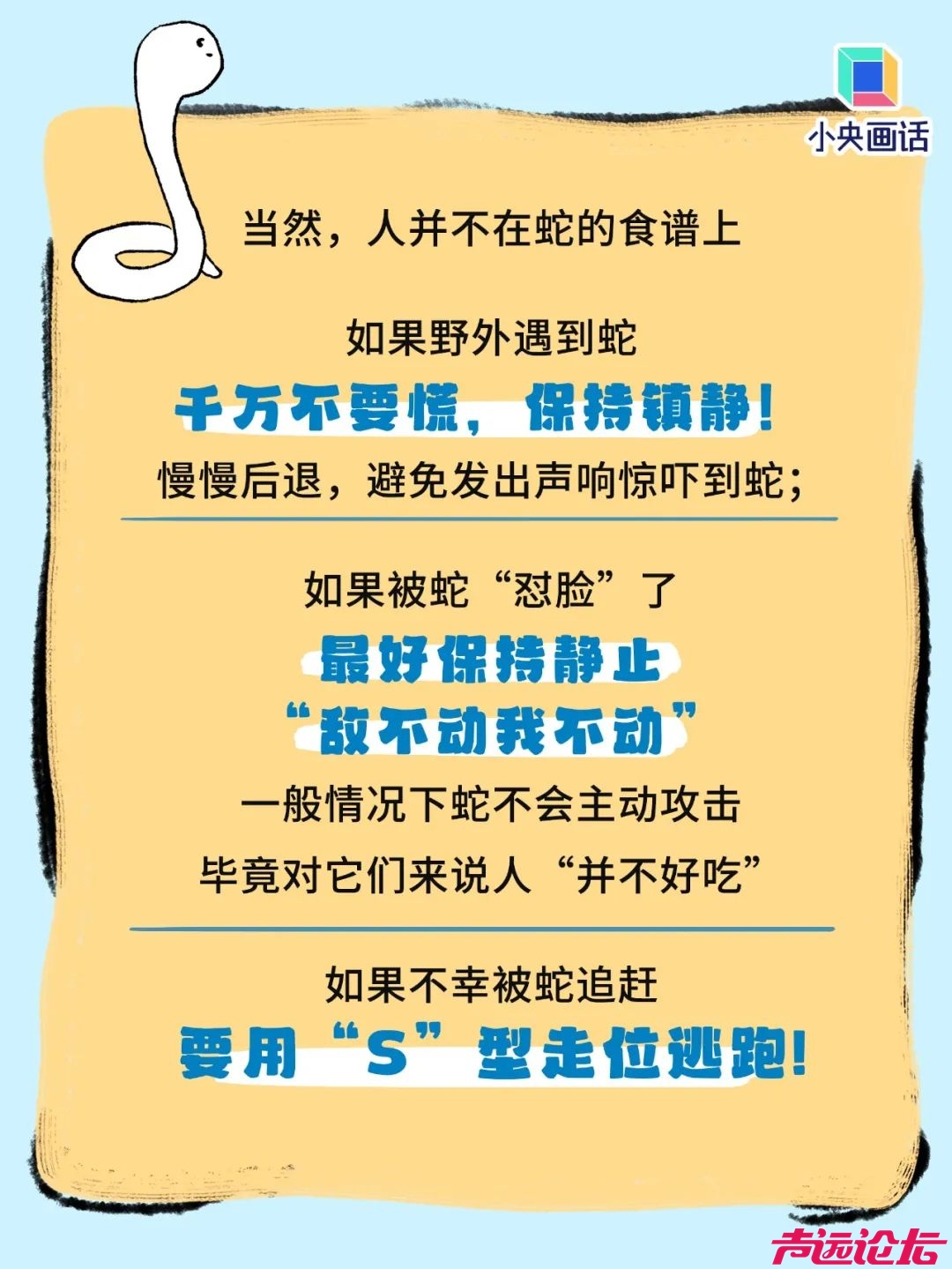 家属透露：女子被咬身亡相关医生已停职！上海30天已有14人被蛇咬，伤人毒蛇基本都是它-11.jpg