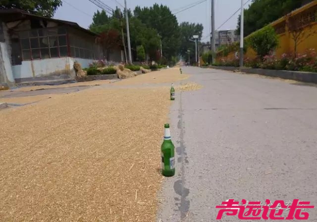 当场死亡！济宁在马路上晒麦子的都看看，多少麦子能赔起-1.jpg