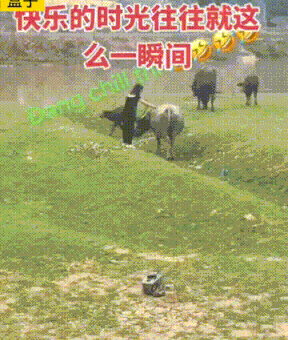 20250624100407front1_0_632061_lrSJUnA8ZGfhK2dFF92VVxDgT6y6.gif
