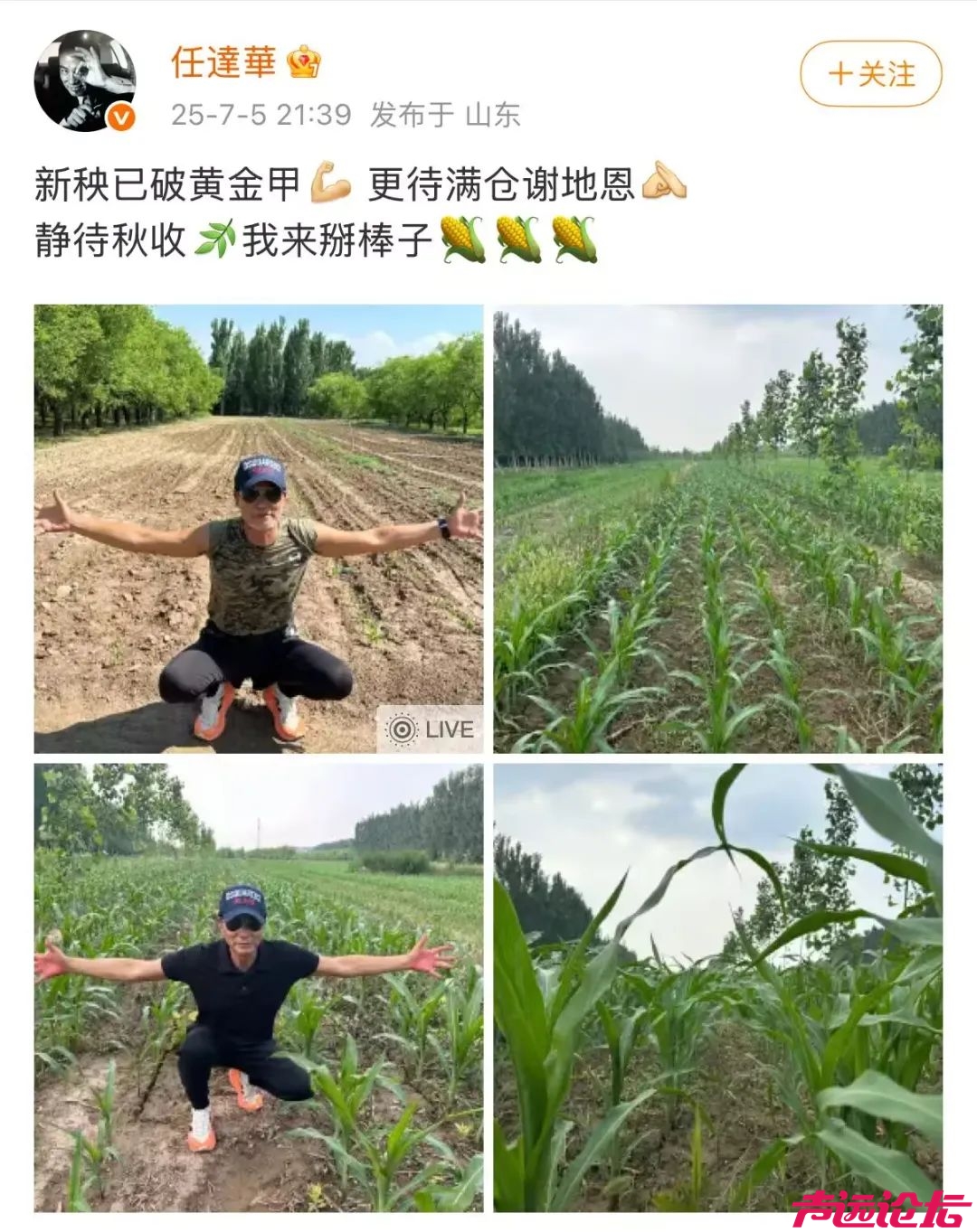 济宁老乡任达华，又来老家种玉米了！他的老家，到底是济宁哪里？-2.jpg