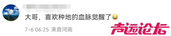 济宁老乡任达华，又来老家种玉米了！他的老家，到底是济宁哪里？-6.jpg