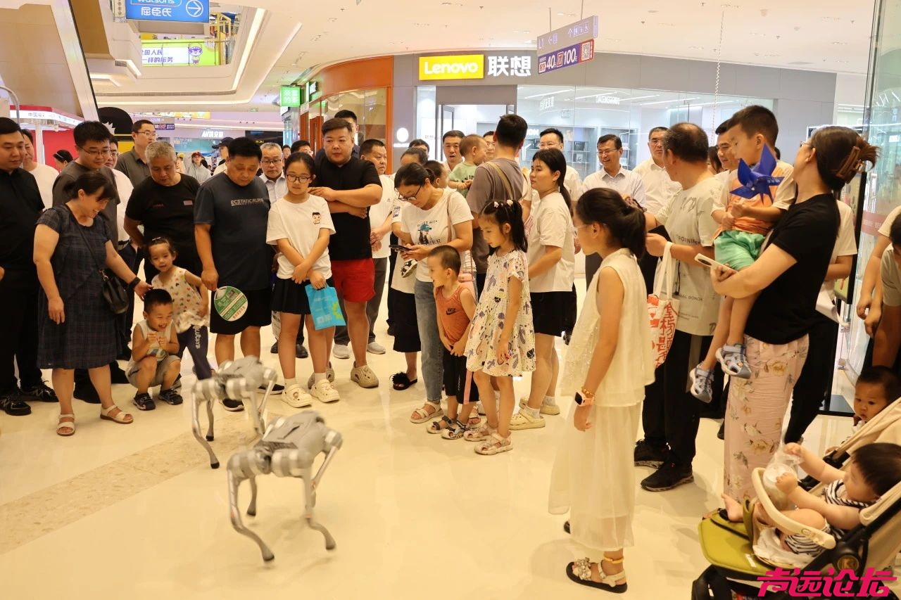 2025年世界青年技能日暨济宁市首届技能人才嘉年华活动启动-1.jpg
