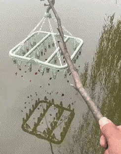 20250721094111front1_0_632061_lrp57lwmY8ja9rDJ72c9yyLPmHaf.gif