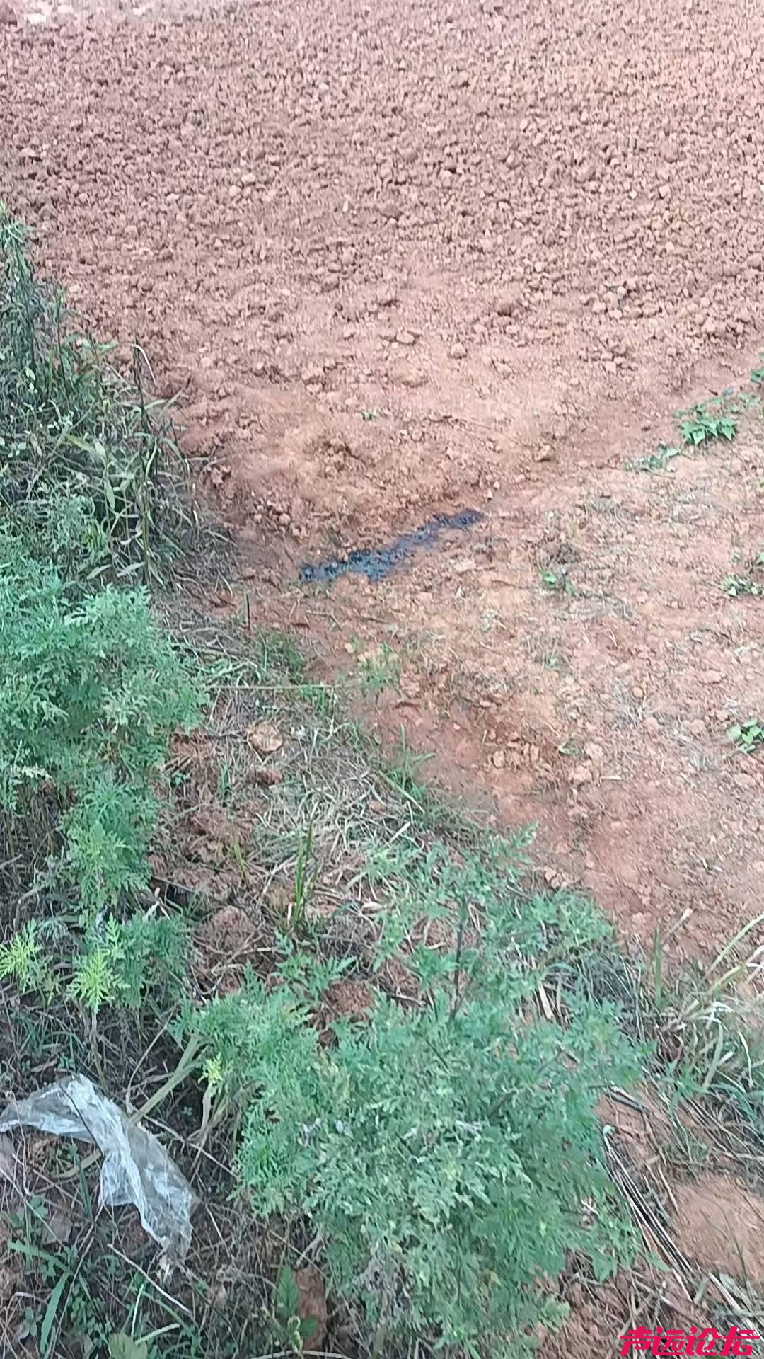 南昌一农民工在农田“方便”时遭气枪击中身亡 工友称“刚蹲下来就出事了”-2.jpg