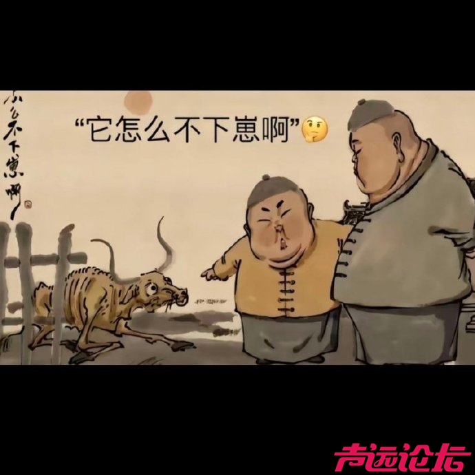 aa551c0cgy1i46tenu48vj20m60m6q47.jpg