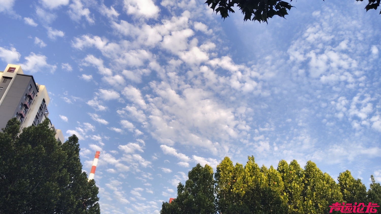 IMG_20250820_061157.jpg