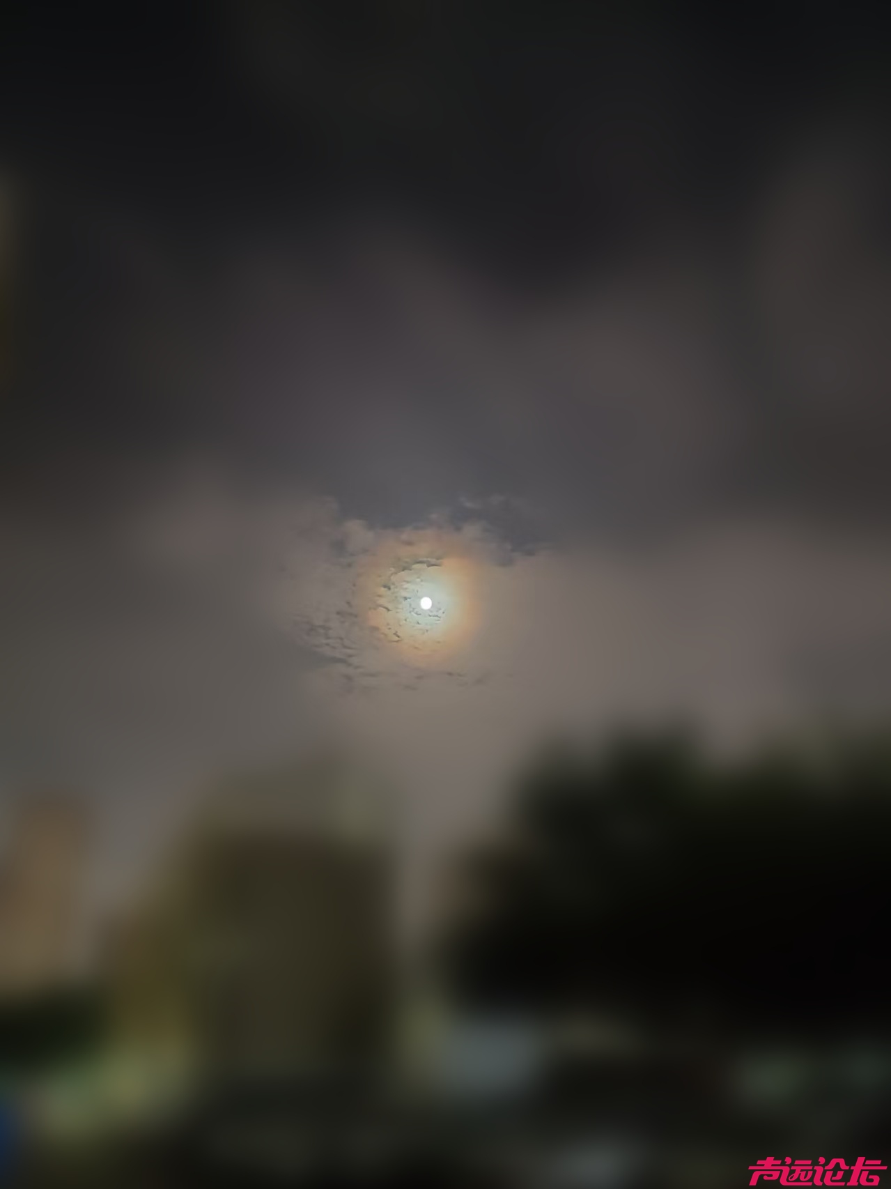 22d36723b141fa4300d8312045175891.jpg