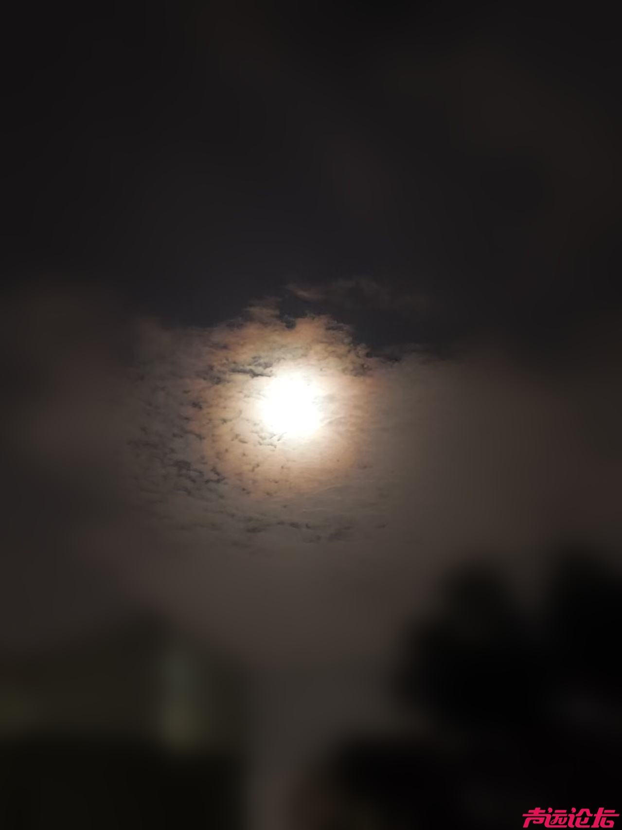 ef0dbedb584343e95714508009dd86c2.jpg