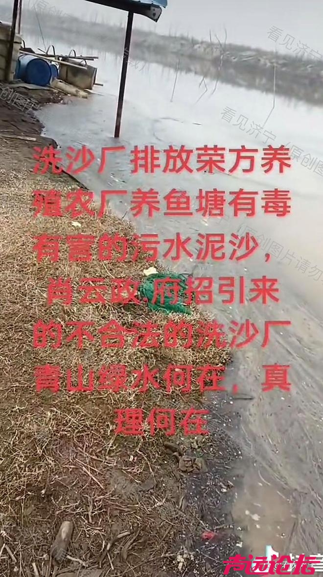 济宁市金乡县霄云镇洗沙场排污引关注，环保治理刻不容缓-7.jpg
